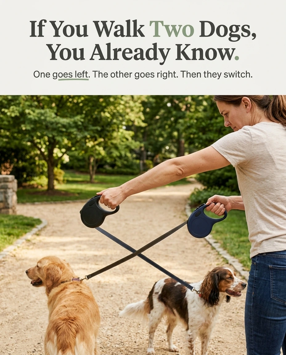 Owner juggling two separate retractable leashes as the leads cross
